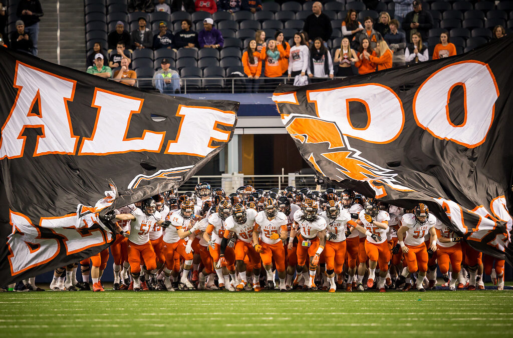 Bust Out Banner – Aledo Bearcats (Customer Spotlight)